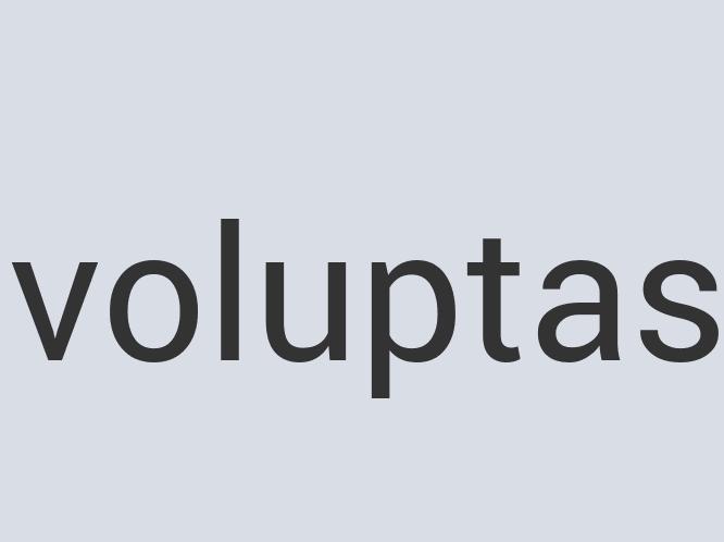 Intelligent Copper netPhun